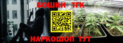 индика Кулебаки