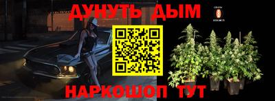 индика Кулебаки