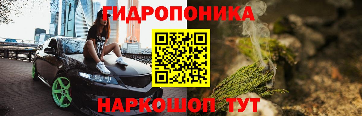 Бошки Шишки марихуана Кольчугино